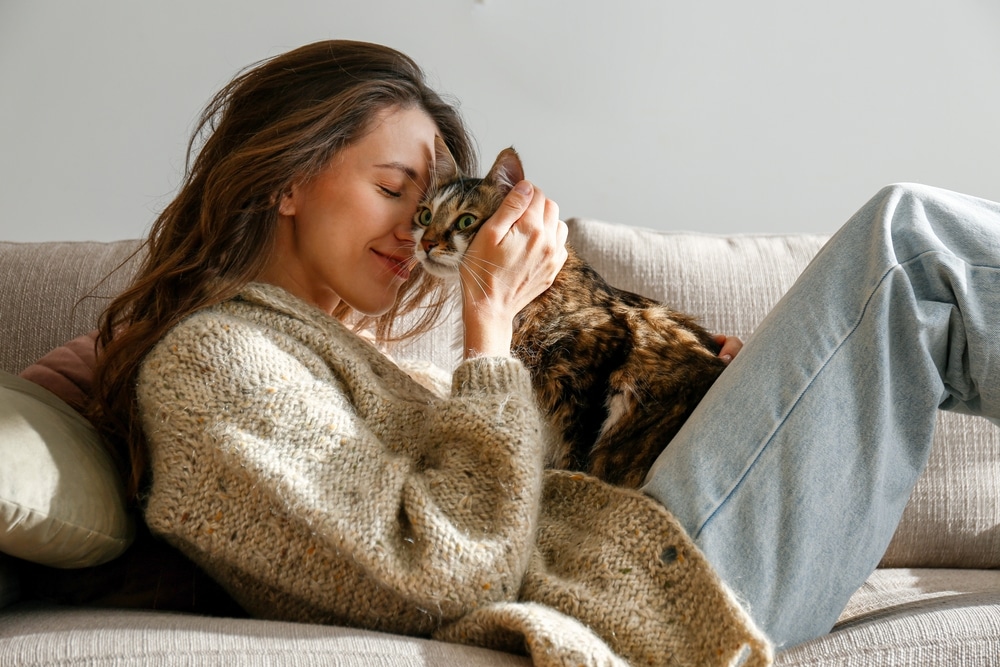 Hypo-Allergenic Cats for Allergy Sufferers | Papaya Vet